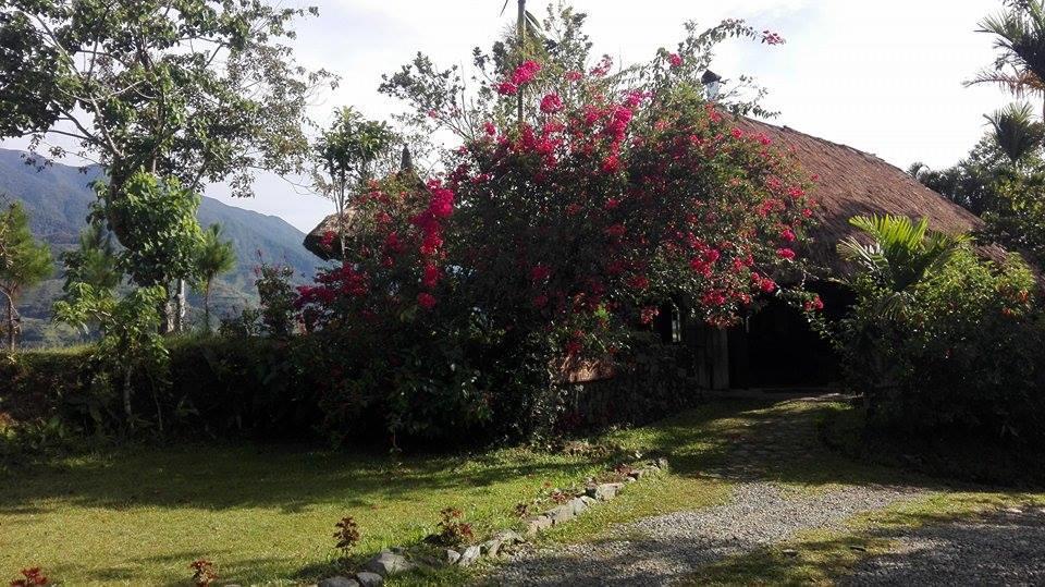 Native Village Inn Banaue Luaran gambar