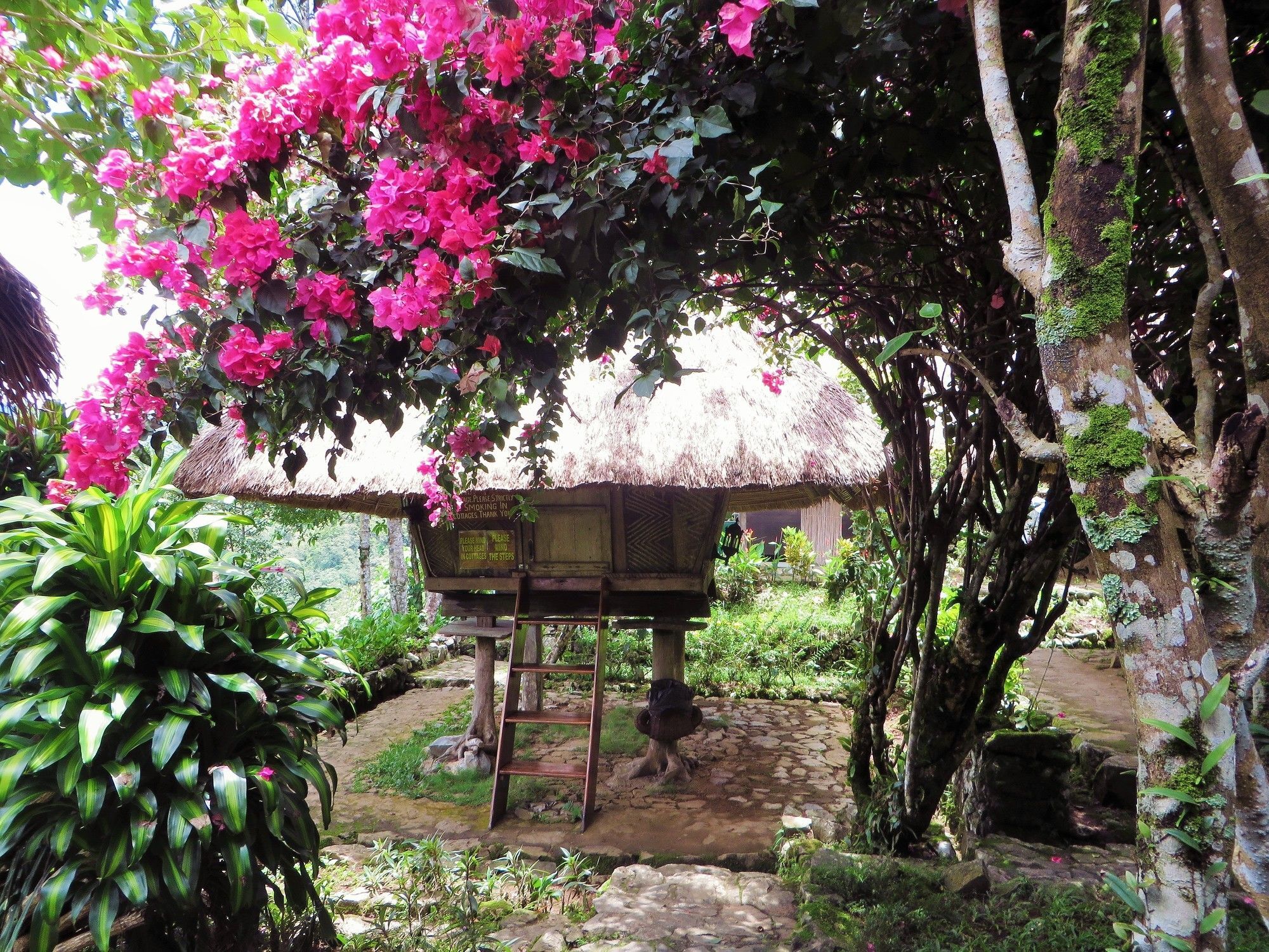 Native Village Inn Banaue Luaran gambar